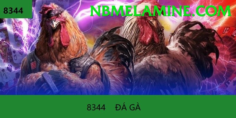 Đá Gà Trực Tiếp - F8bet