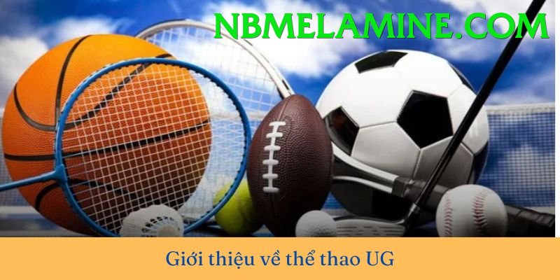 Cá Cược Thể Thao - Trải nghiệm tuyệt vời